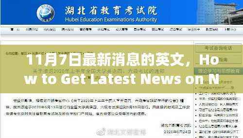 如何获取11月7日最新消息，初学者与高级用户分步指南