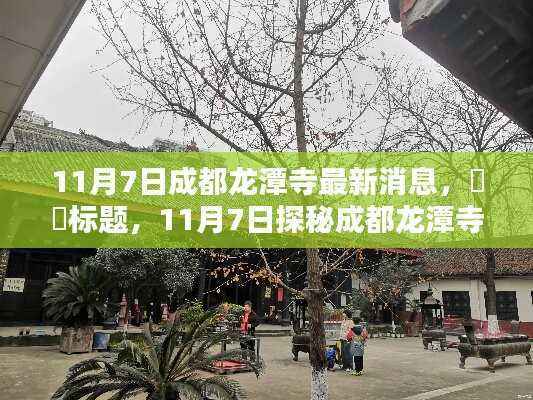 最新揭秘!成都龙潭寺动态更新,深度体验报告出炉!