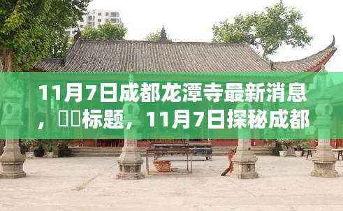 最新揭秘!成都龙潭寺动态更新,深度体验报告出炉!