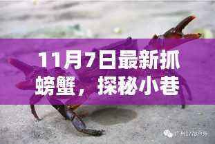 探秘隐藏版抓螃蟹小店,揭秘螃蟹秘境的神秘面纱