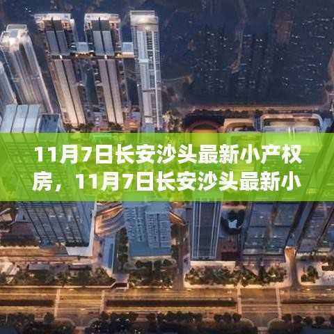 长安沙头最新小产权房解读,市场趋势与购房指南