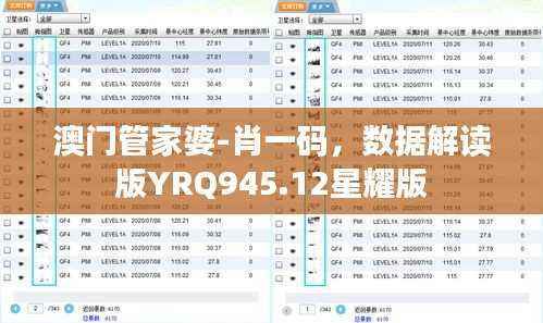 澳门管家婆-肖一码，数据解读版YRQ945.12星耀版