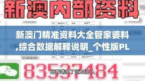新澳门精准资料大全管家婆料,综合数据解释说明_个性版PLV100.38