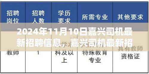 嘉兴司机最新招聘信息及行业背景深度解析(2024年11月)