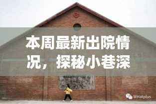 探秘康复故事馆，本周最新出院情况揭秘