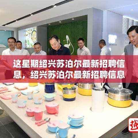 绍兴苏泊尔最新招聘信息及其观点深度解析