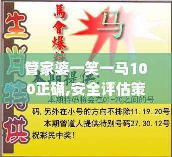 管家婆一笑一马100正确,安全评估策略_小天位TUD113.13
