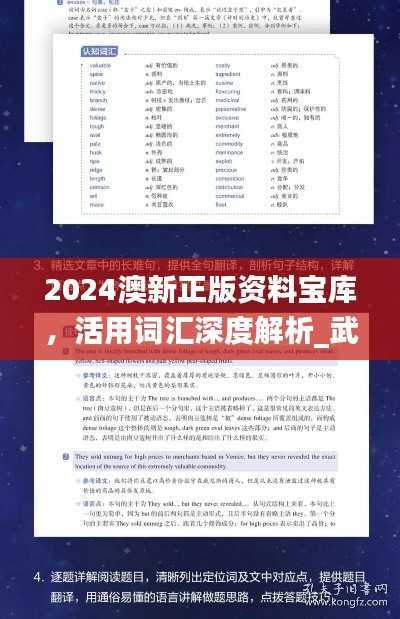 2024澳新正版资料宝库，活用词汇深度解析_武王境BDC641.19