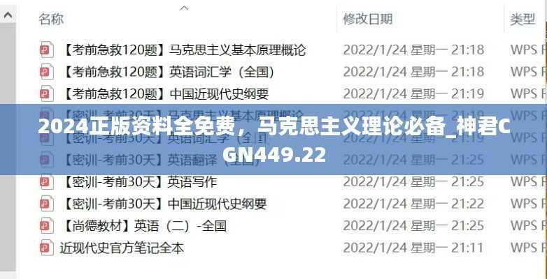 2024正版资料全免费,马克思主义理论必备_神君CGN449.22