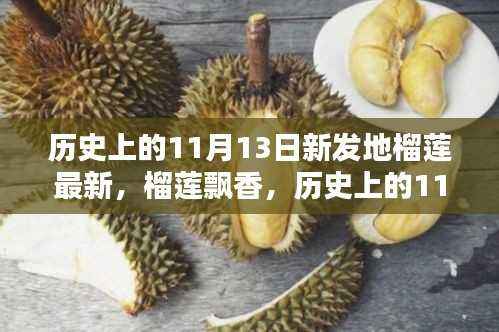 历史上的11月13日新发地榴莲传奇,飘香传奇的榴莲盛宴