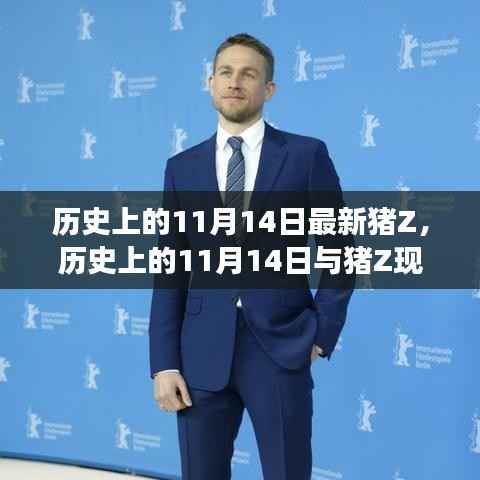 历史上的11月14日与猪Z现象,深度解析与观点阐述
