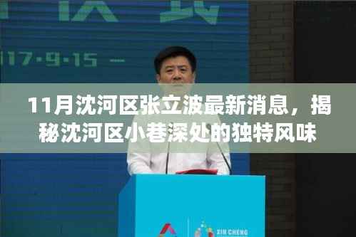 揭秘沈河区张立波最新动态，十一月小巷深处的独特风味探索之旅