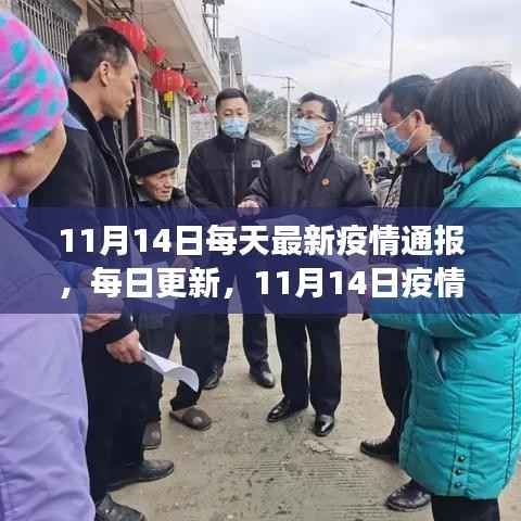 11月14日疫情最新动态,每日更新,共克时艰时刻