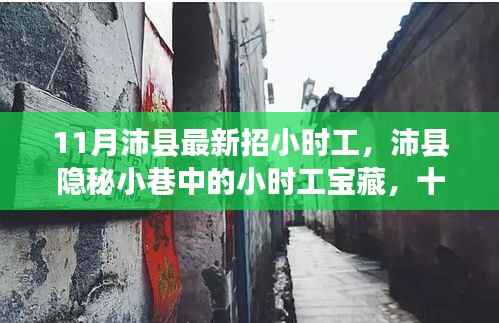 11月沛县小时工新招揭秘,隐秘小巷的宝藏与十一月新风尚