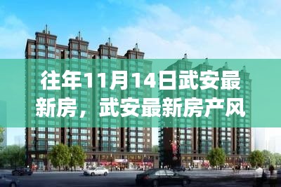 揭秘武安房产风云,历年11月14日的最新房源与故事揭秘