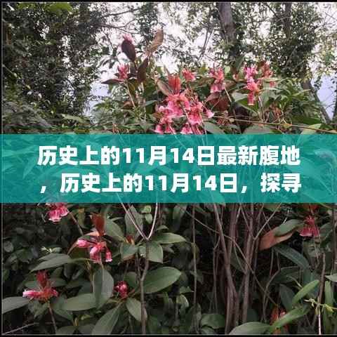 历史上的11月14日,探寻最新腹地,与自然美景共舞的心灵之旅