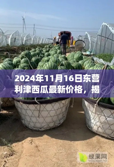 揭秘东营利津特色西瓜最新价格与故事,小巷深处的宝藏,2024年价格一览表