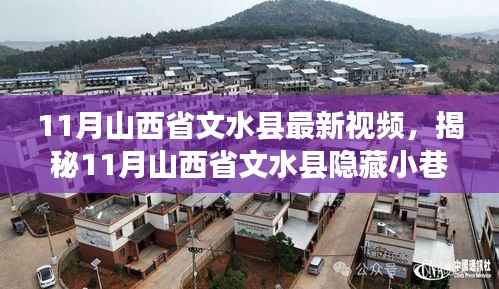 揭秘文水隐藏小巷,11月山西省文水县独特小店大揭秘,秘密花园等你来探!
