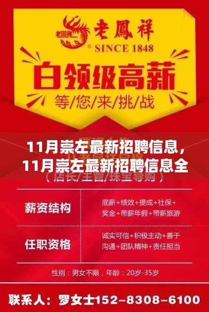 11月崇左最新招聘信息全面解析与求职全攻略