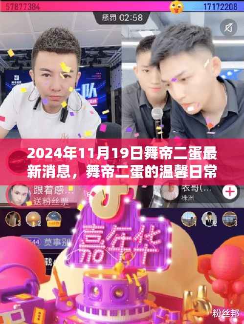 舞帝二蛋最新动态,温馨日常与快乐时光(2024年11月19日)