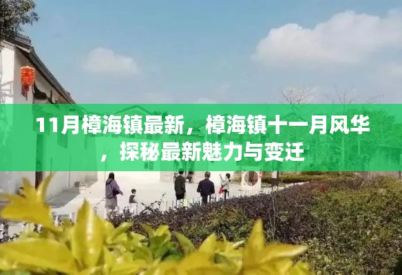 樟海镇十一月风华揭秘,最新魅力与变迁探秘