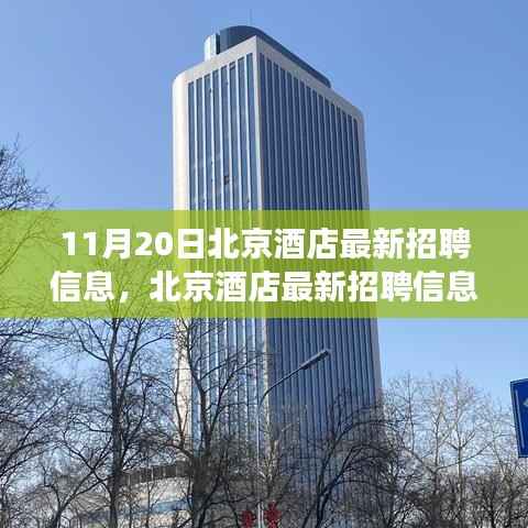 北京酒店最新招聘信息全攻略,从零基础到成功求职的每一步指引(11月20日更新)