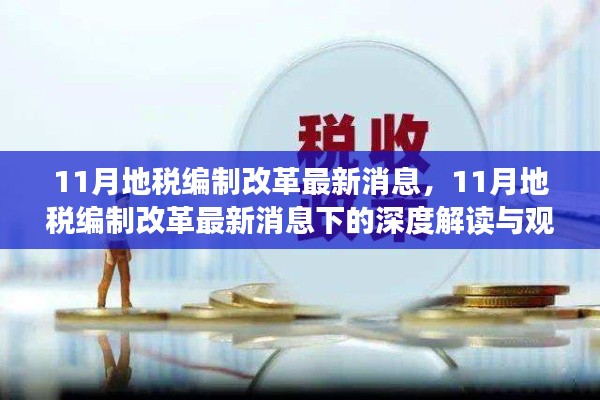 11月地税编制改革最新动态,深度解读与观点碰撞