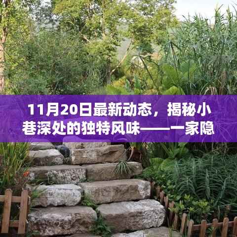 揭秘小巷深处的独特风味,一家隐藏于喧嚣之外的特色小店新发现