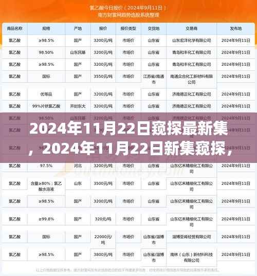 窥探最新集，视觉盛宴的期待与揭秘（2024年11月22日）