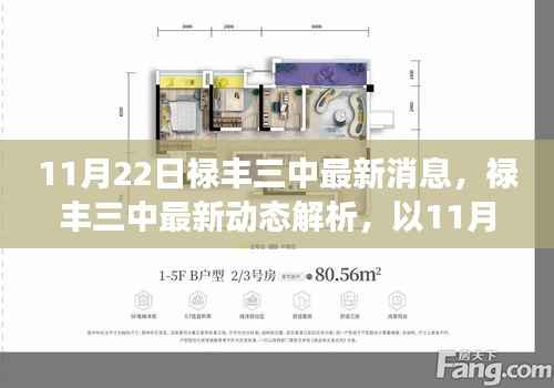11月22日禄丰三中最新动态解析与多维度探讨