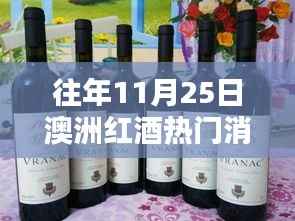 历年11月25日澳洲红酒热门消息回顾,品质、体验与竞品对比详解