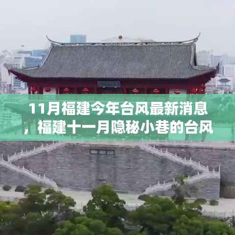 福建十一月隐秘小巷的台风时光,最新台风消息与独特风味探索