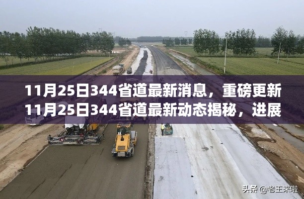 11月25日344省道最新进展,飞速超越预期,揭秘最新动态