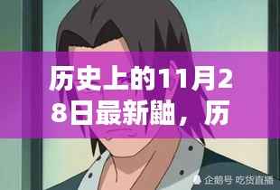 历史上的11月28日与最新鼬,深度探讨与观点论述