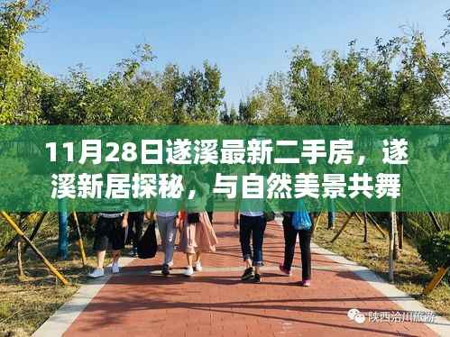 遂溪最新二手房探秘,与自然美景共舞的心灵港湾