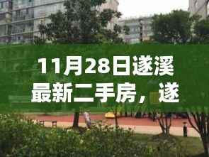 遂溪最新二手房探秘,与自然美景共舞的心灵港湾