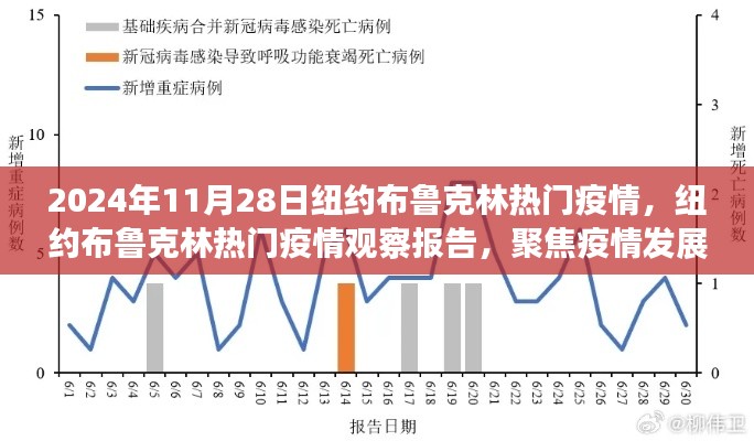 纽约布鲁克林疫情观察报告,聚焦疫情进展与应对措施(2024年11月28日)