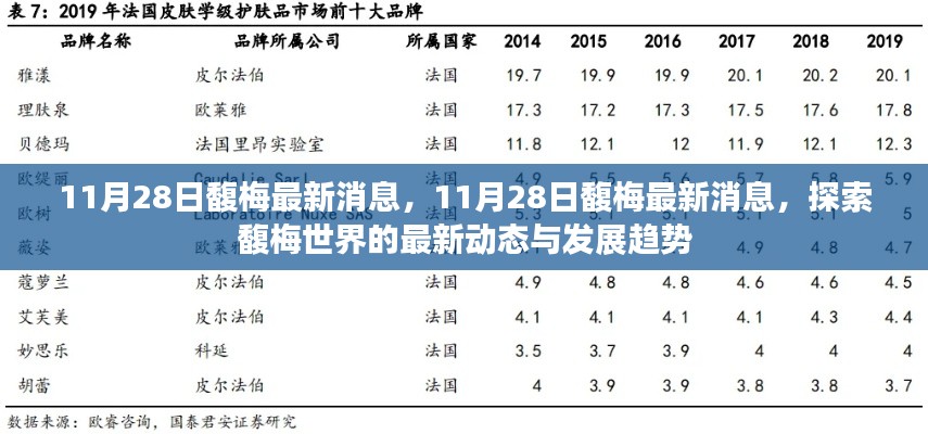探索馥梅世界，最新动态与趋势报道
