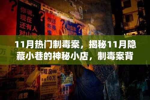 揭秘11月小巷神秘小店,制毒案背后的隐秘故事