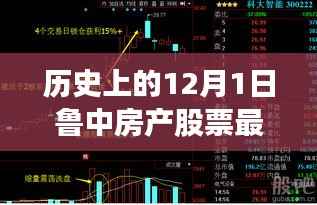 鲁中房产股票传奇,温馨日常与历史的交汇点(最新消息)