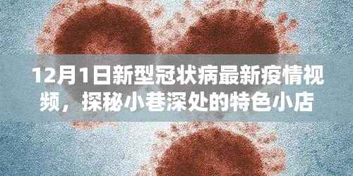 12月1日新冠疫情下的意外发现,小巷深处的特色小店探秘