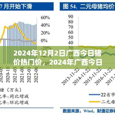 2024年广西今日猪价热门价解析指南,初学者与进阶用户适用