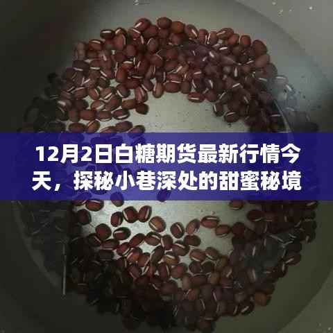 揭秘白糖期货行情与独特甜品小店的神秘故事,今日市场走势深度解析