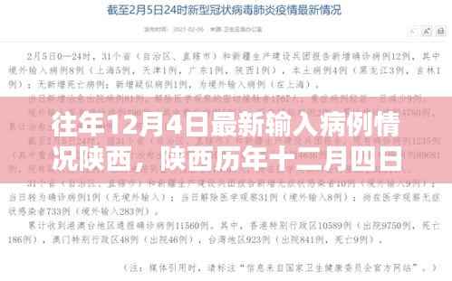 陕西历年十二月四日输入病例分析,最新情况与观点探讨