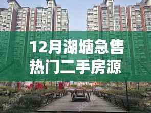 12月湖塘热门二手房源急售全景解析，最新房源信息一览