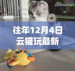 暖冬猫趣，云猫玩最新版体验时光