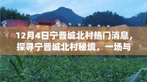 探寻宁晋城北村秘境,与自然美景的邂逅,热门消息揭秘!