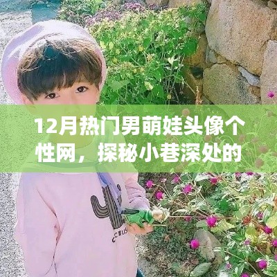 探秘男萌娃头像个性网,十二月热门小巷深处的独特风采