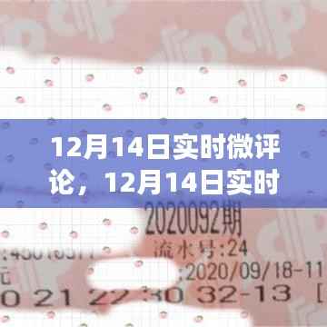 12月14日实时微评论，热点事件深度解读与独特见解