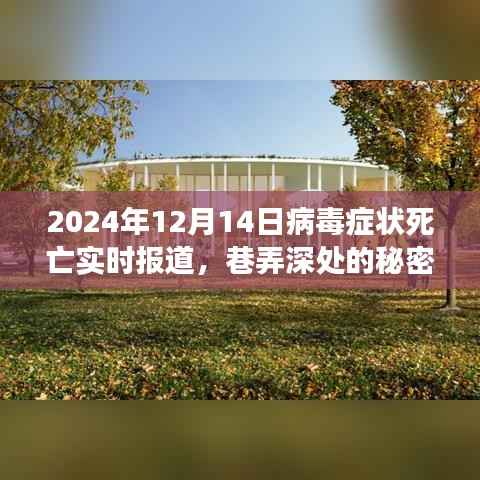 巷弄深处的秘密,特色小店观察报告——病毒症状实时报道与死亡数据解析(2024年1月)